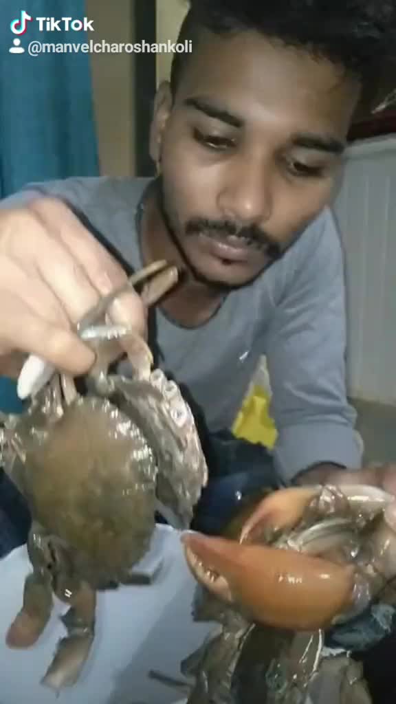 @๐๐aagri king๐ ๐