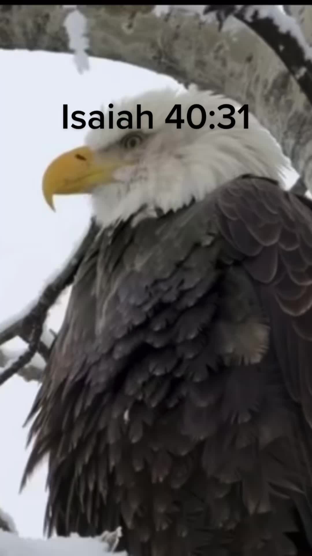 @Kristina