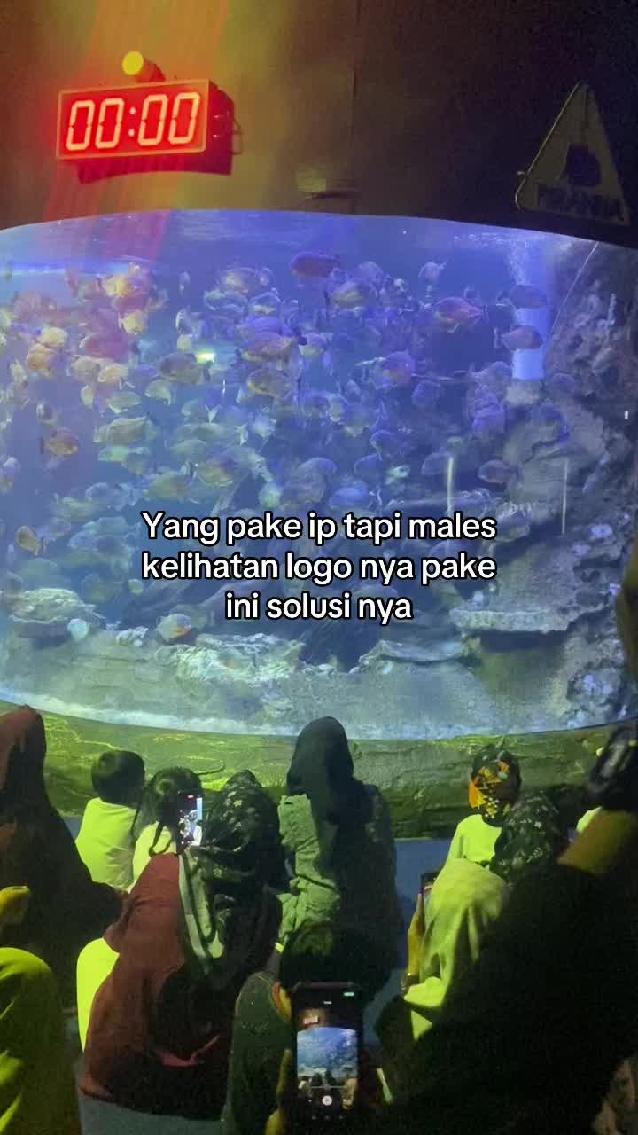 @Xieaja