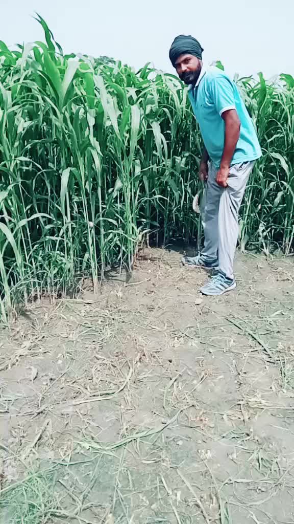 @jagga0001