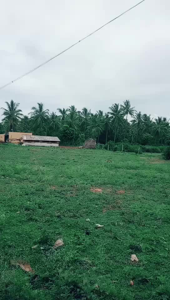 @shilpa shetty