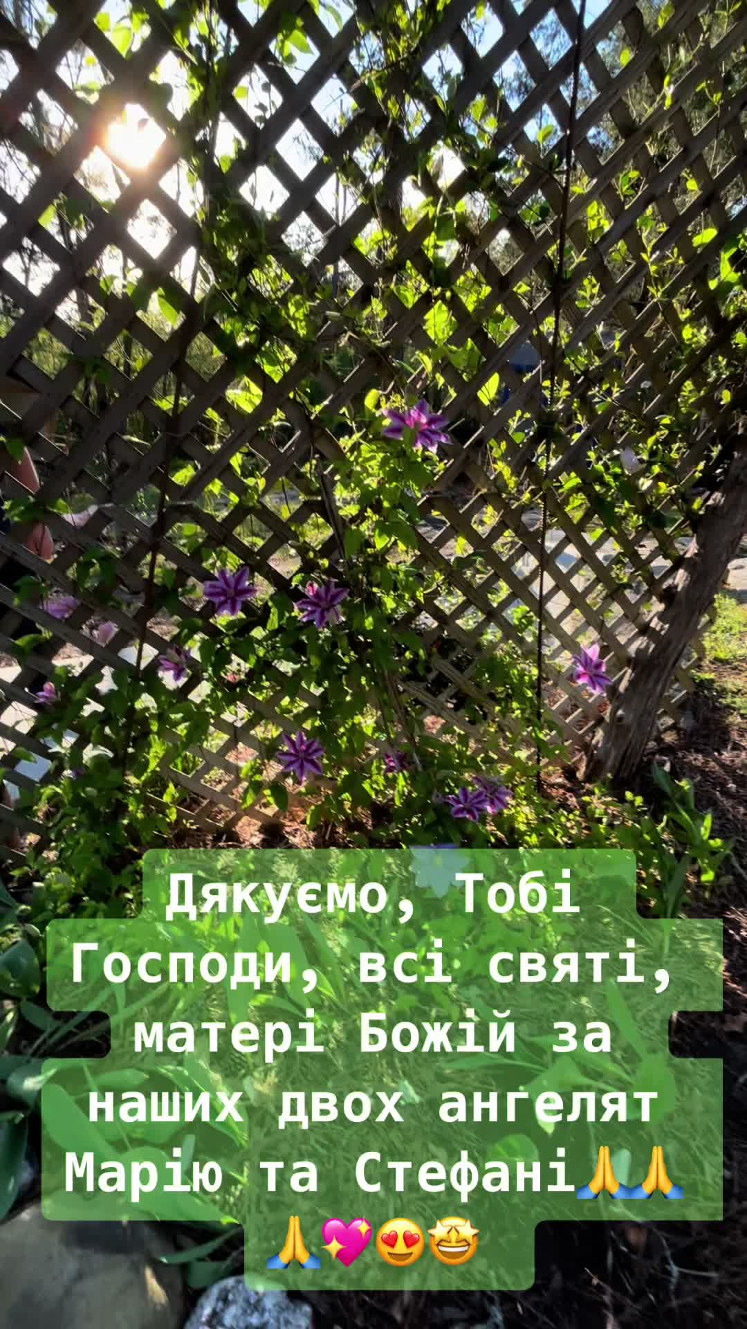 @Psychologist Yavorska Liliia