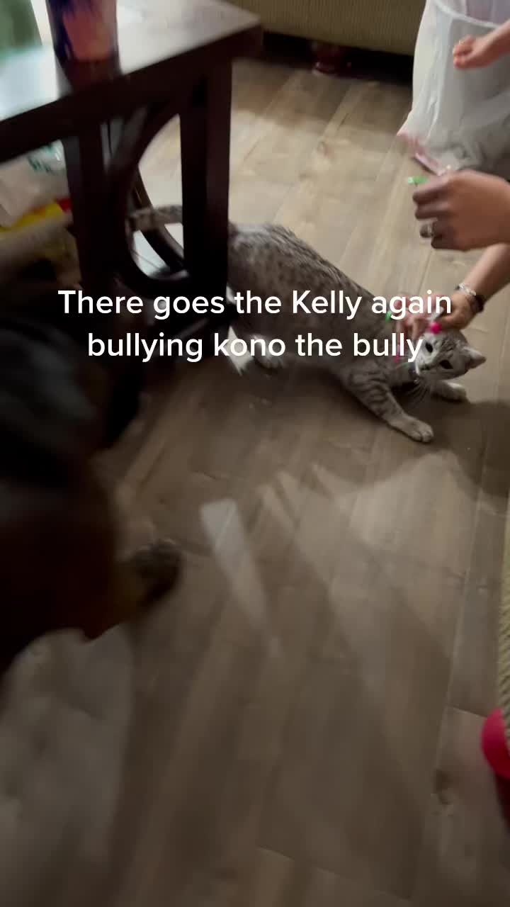 @Kono the bully