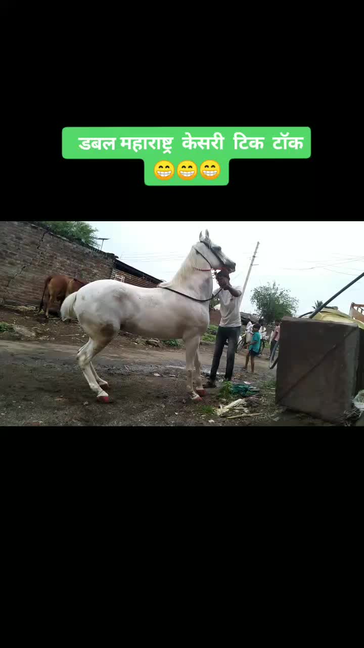 @@ajinkypatil123