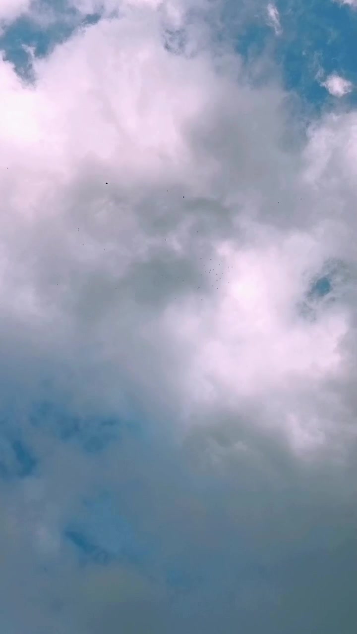@ᴍᴜsᴛᴀғᴀ ᴄᴀᴍᴜʀʀ