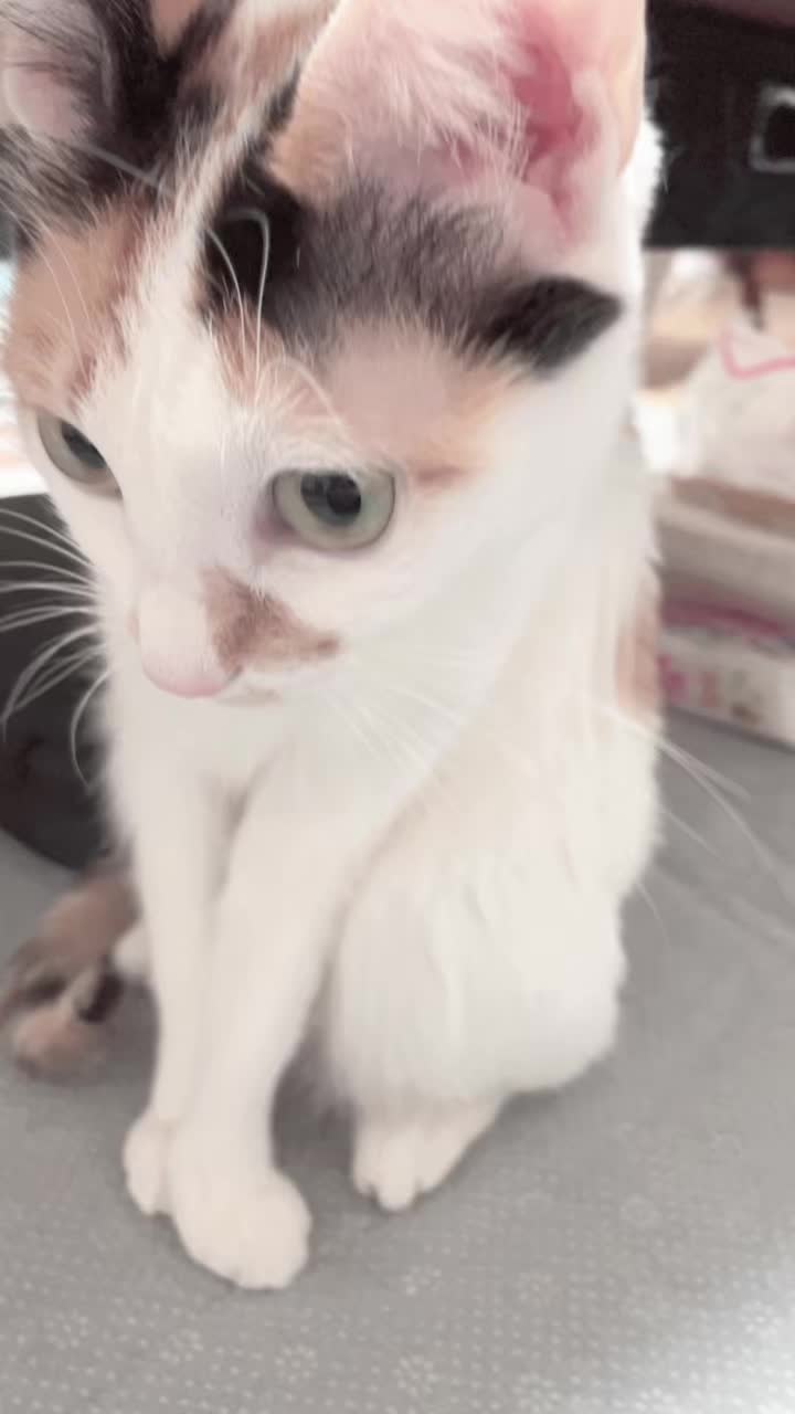 @ゆきぴ