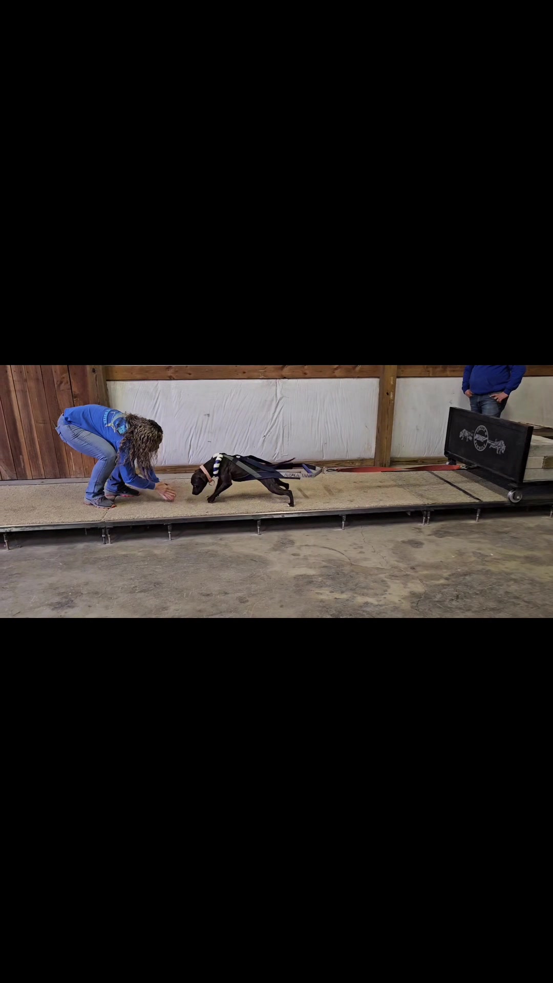 @RedCreekKennels
