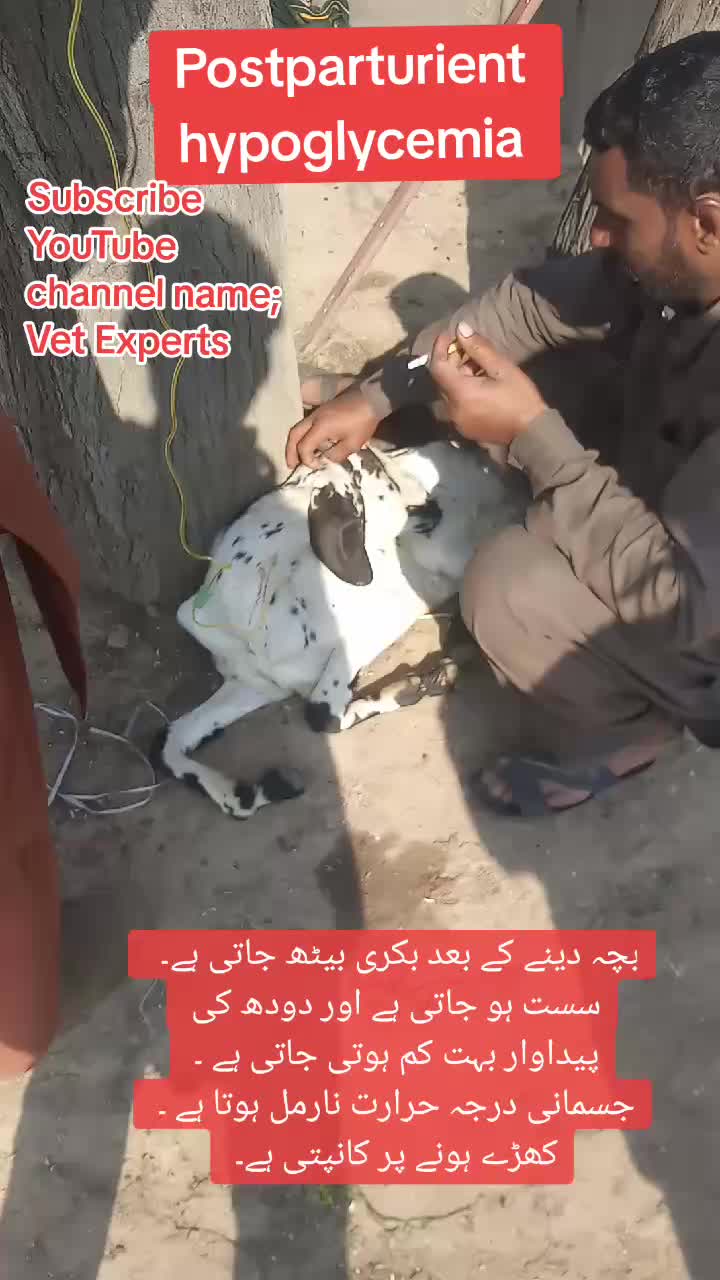 @Dr Abdullah