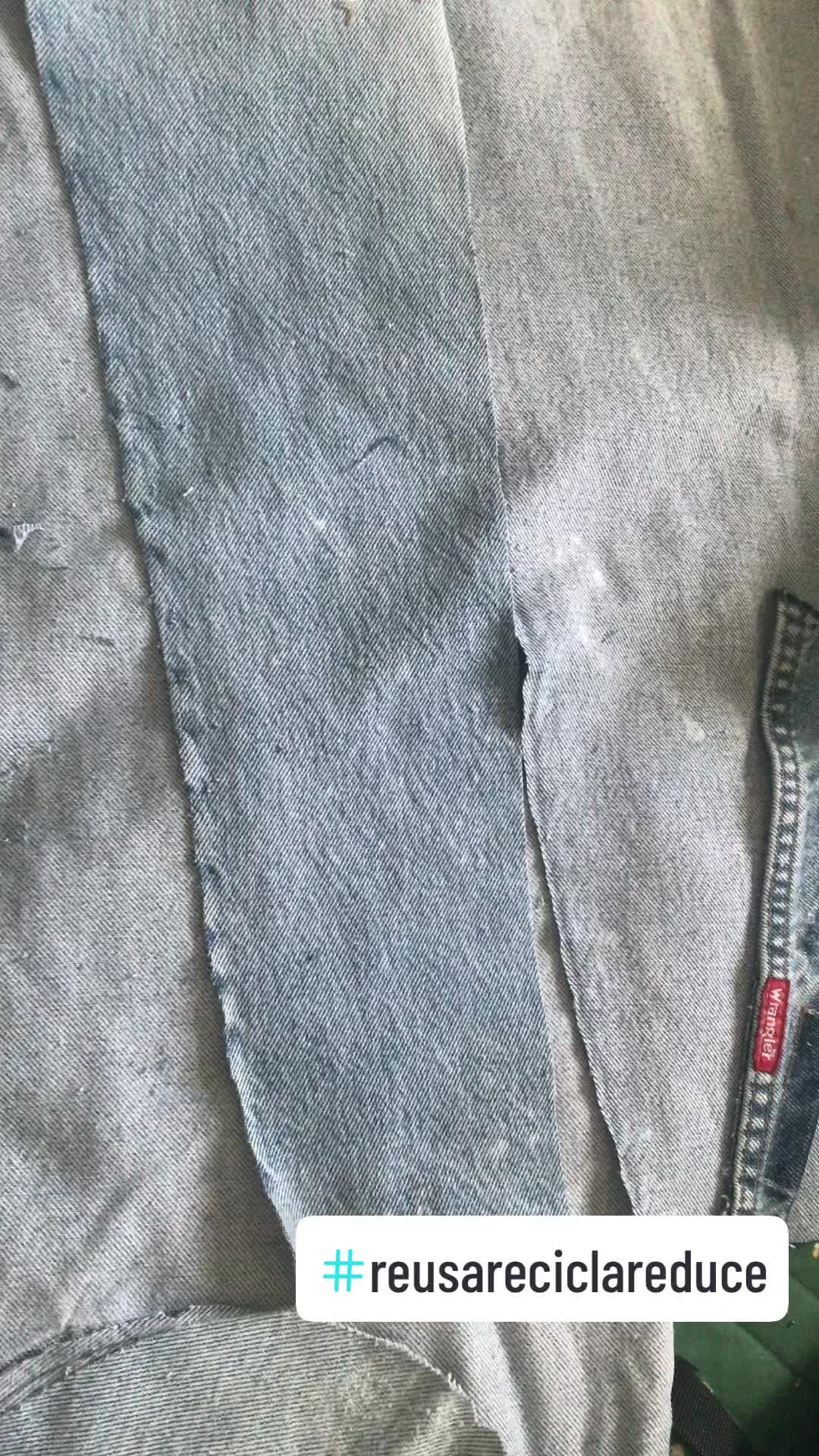 @cayenacollection