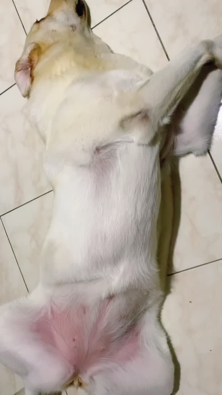 @Lunalinda.lab