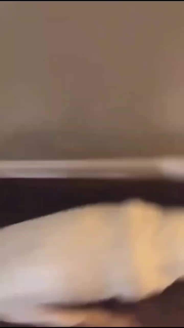 @weibangzhu569