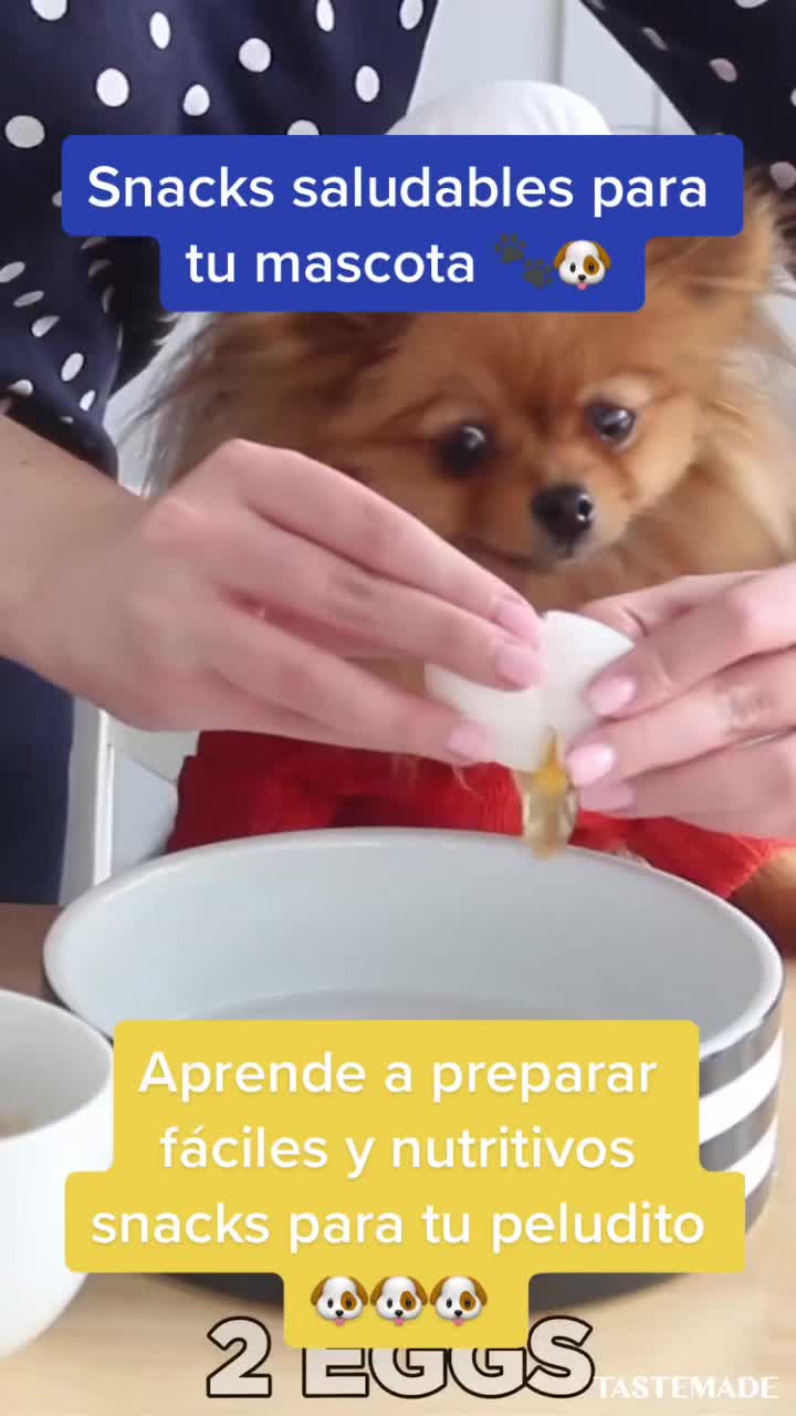 @mascotasfelices