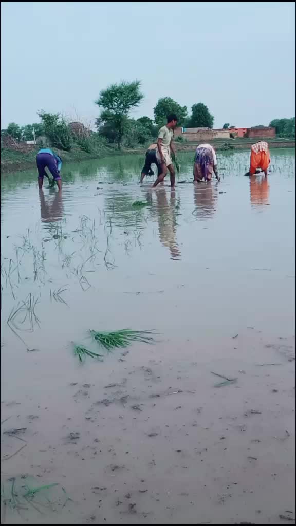 @deepakBhai