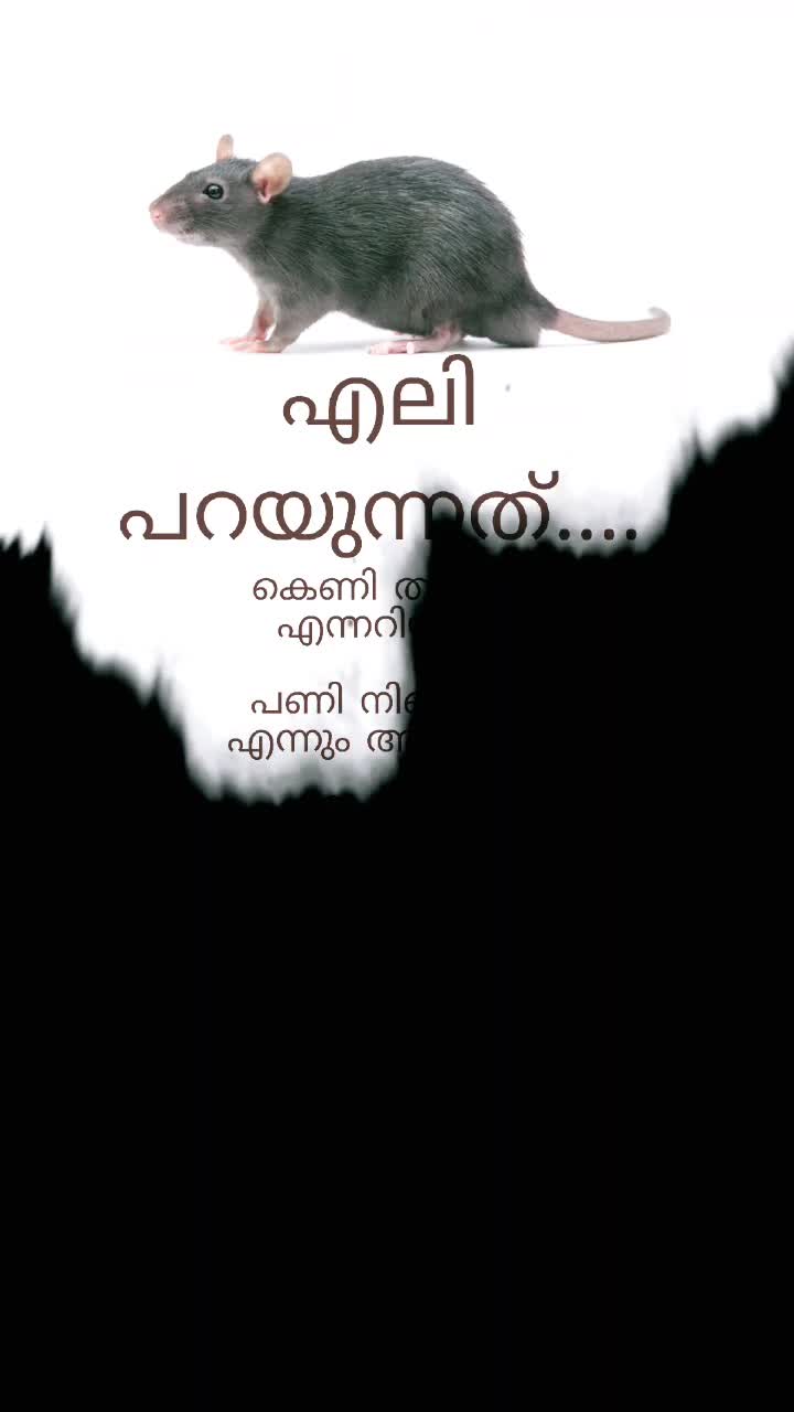 @الحمد لله
