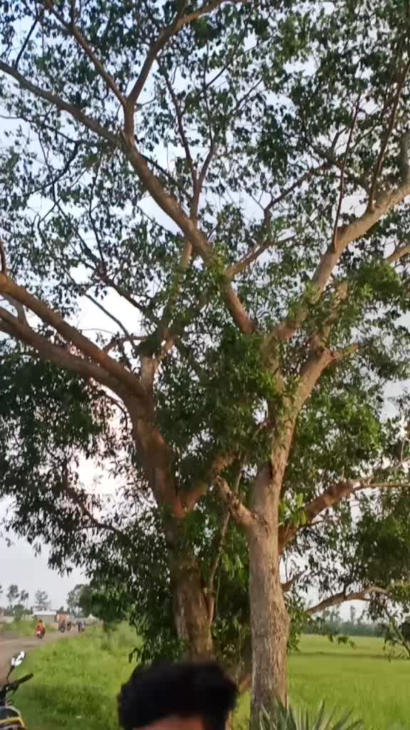@user28026487874
