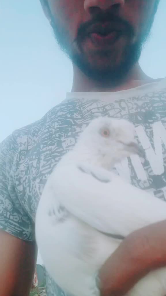 @satishdoomwali 786