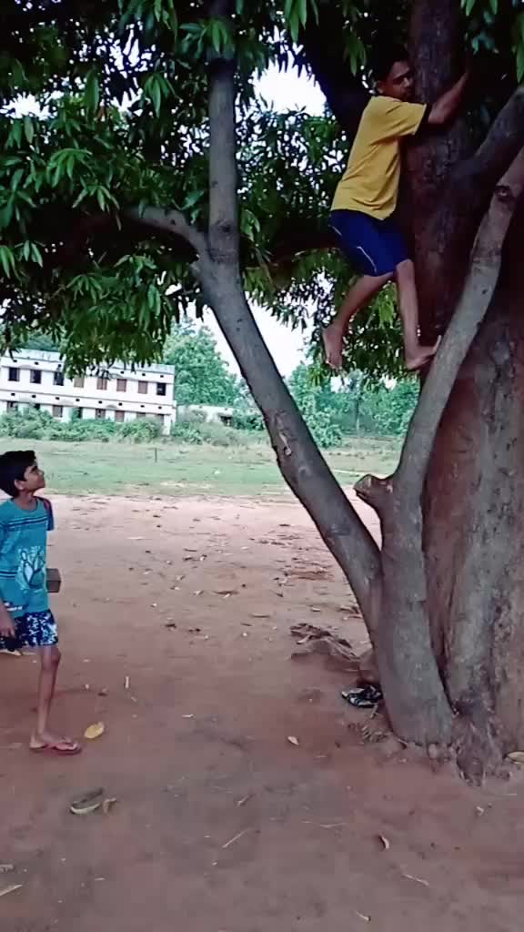 @anandasa11