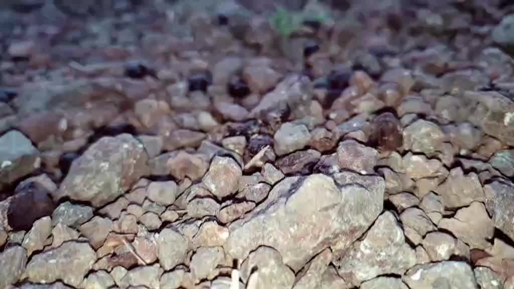 @DHÀVÀLØ_AAYAR_1436