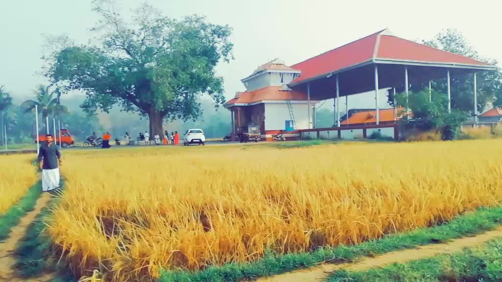 @Vishnu Dhath