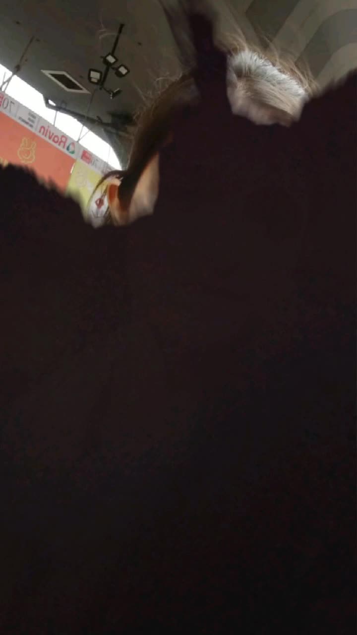 @pallavipal