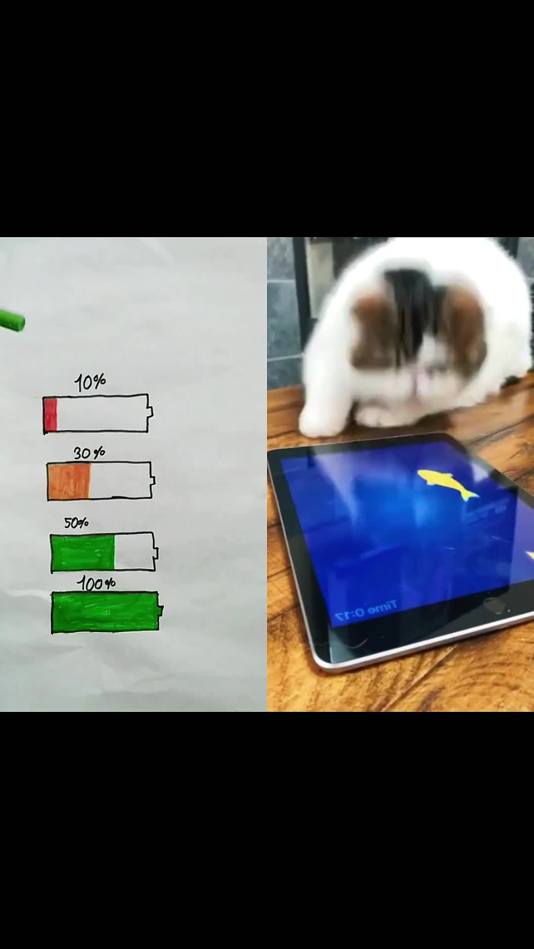 @maxrsgd