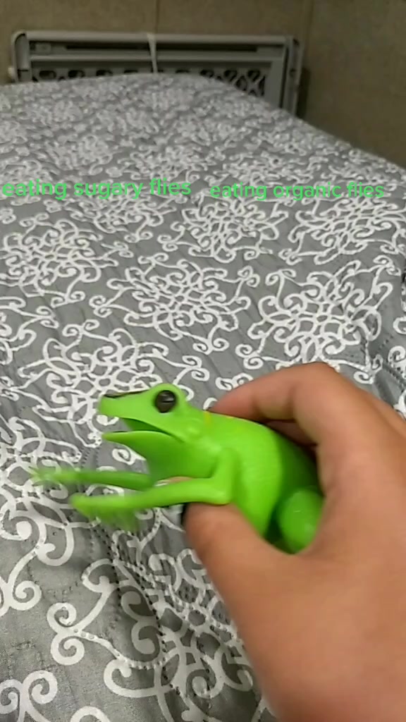 @🐸🐸🐸