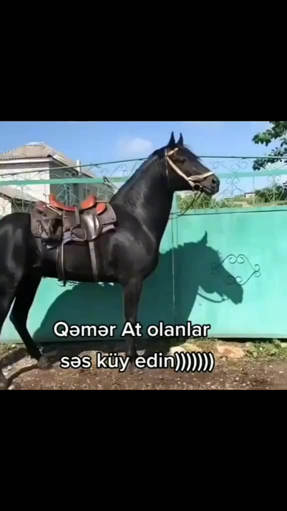 @Qəmli Yazar