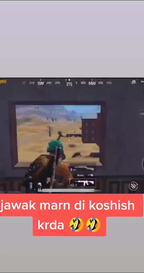 @jontypagani0004