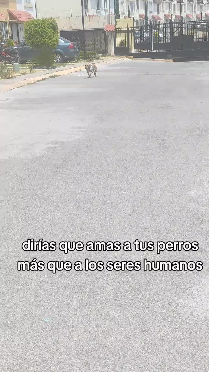 @Severus/Sparky 🐶🐶