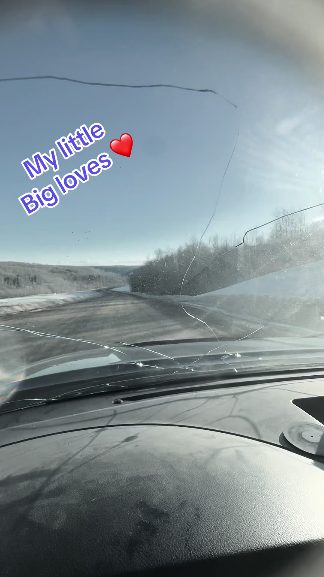 @Animal-Lee