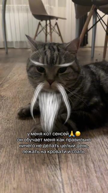 @тгк:MMI