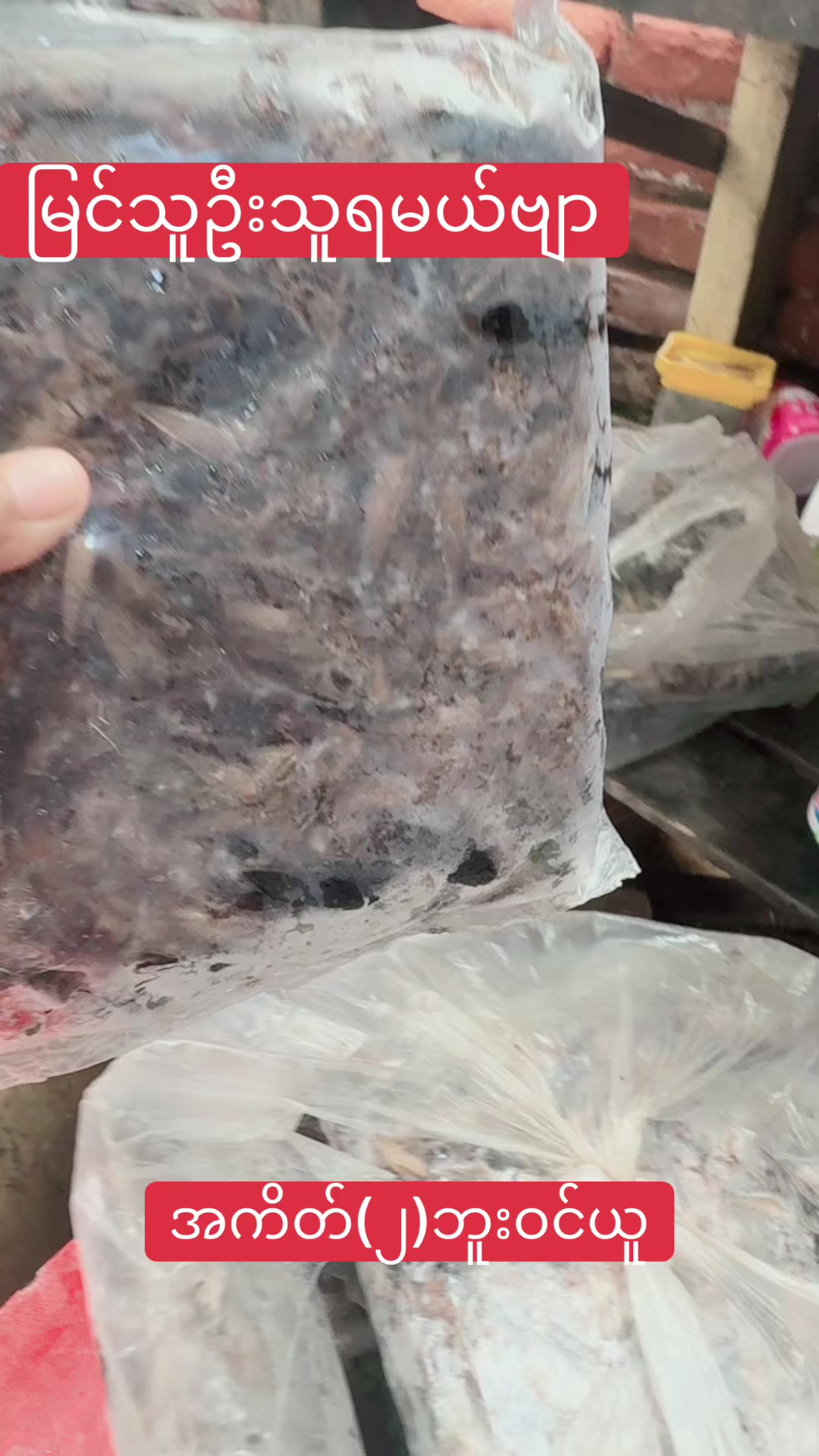 @đŚááááşáááşáᏠááŻáá
áşááźáąáŹáşđŚ