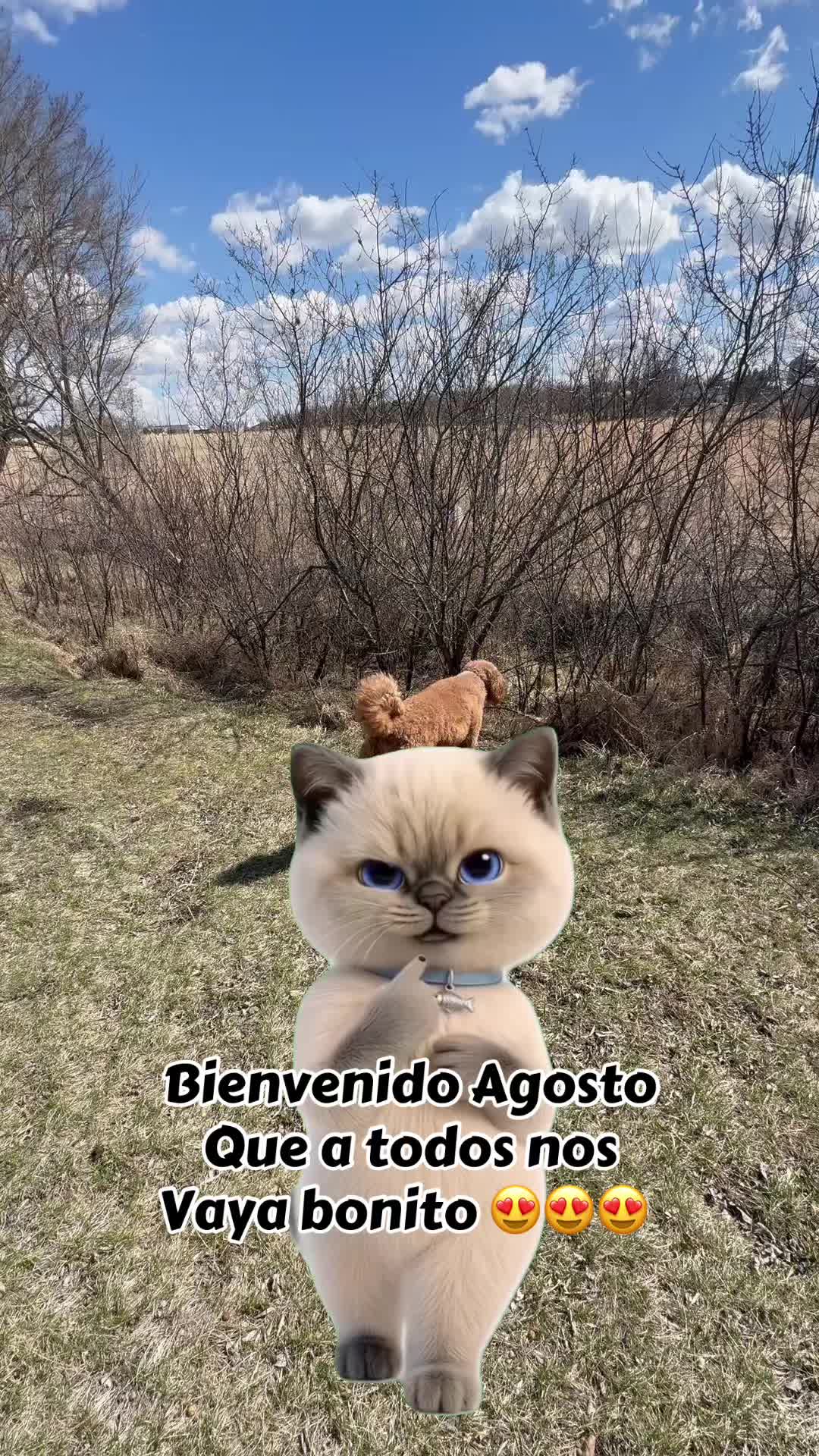 @Reyna y Churro 🐶😍