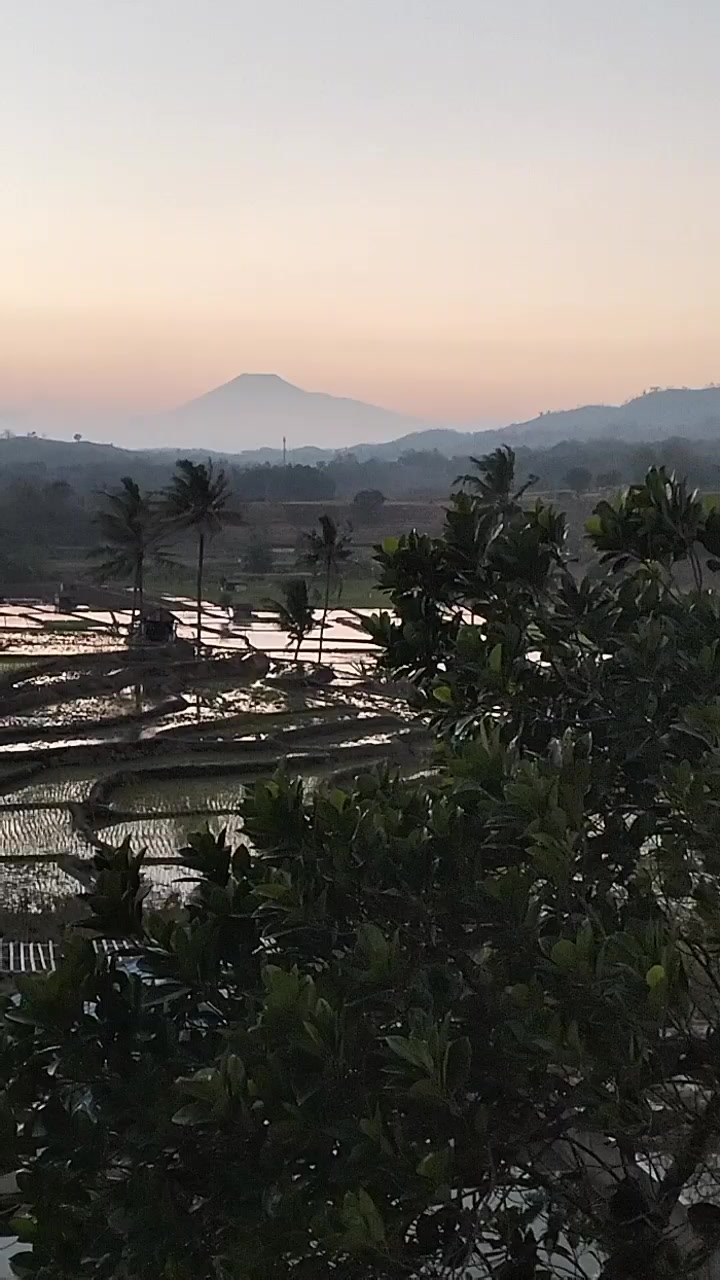 @Rosehaziq