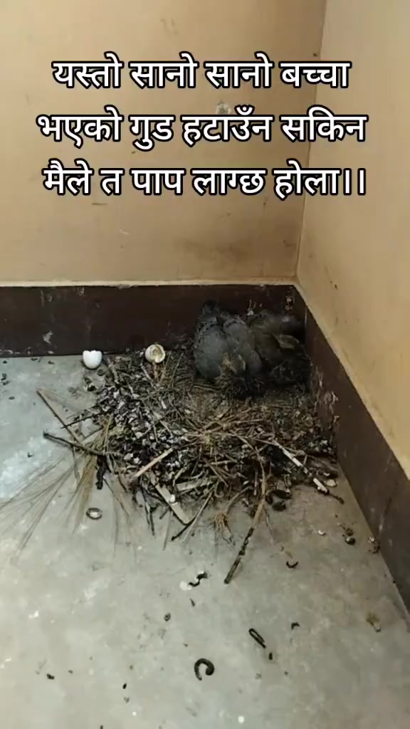 @Ramita (Mithilanari)🧿