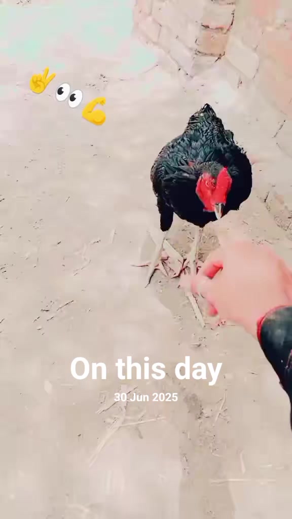@Riaz jani