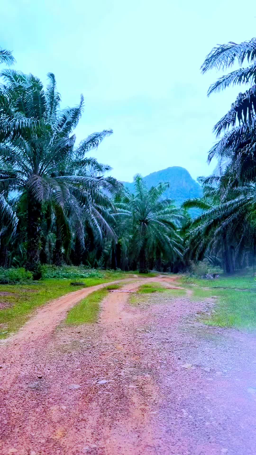 @aleen_CBR