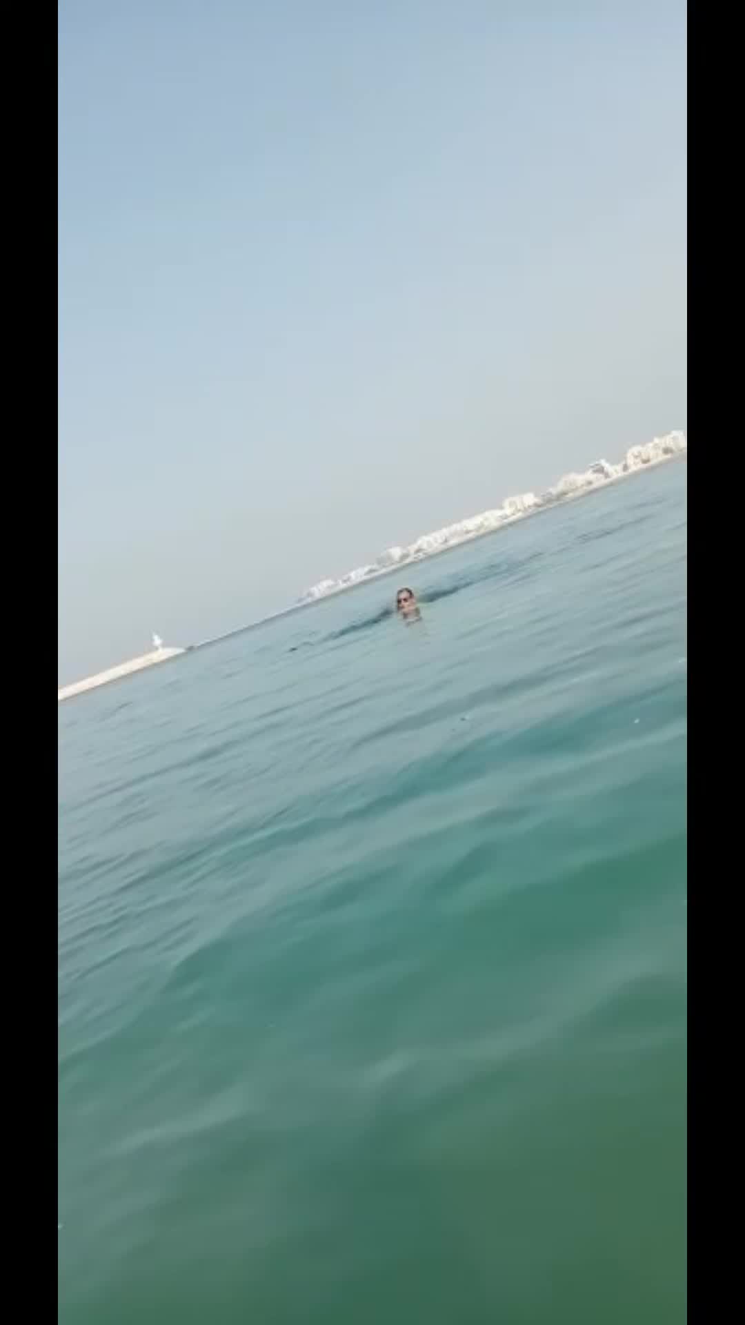 @Mohamed Adel