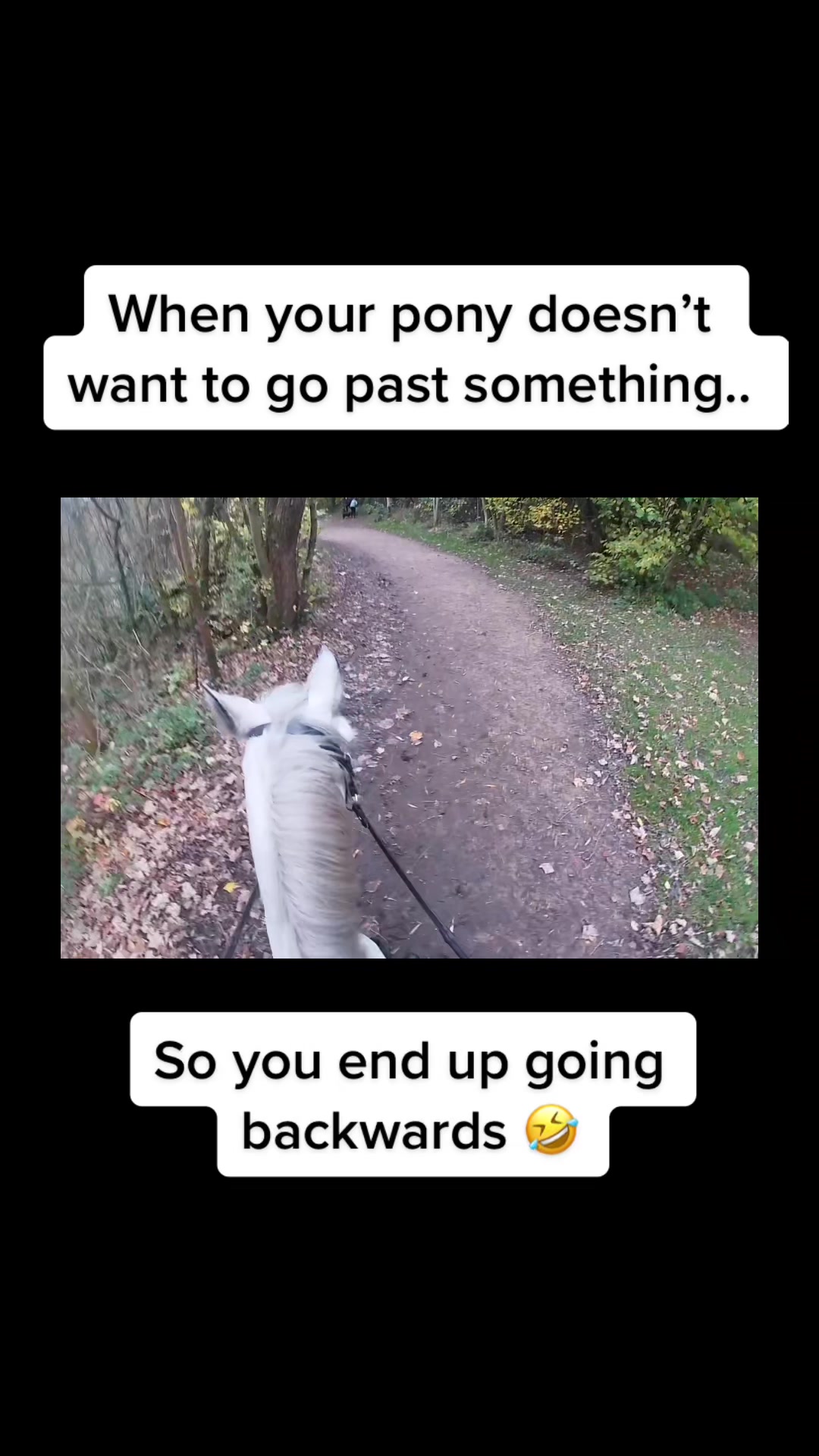 @Abby & Harry 🦄