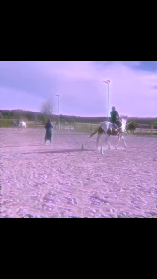 @Hästar