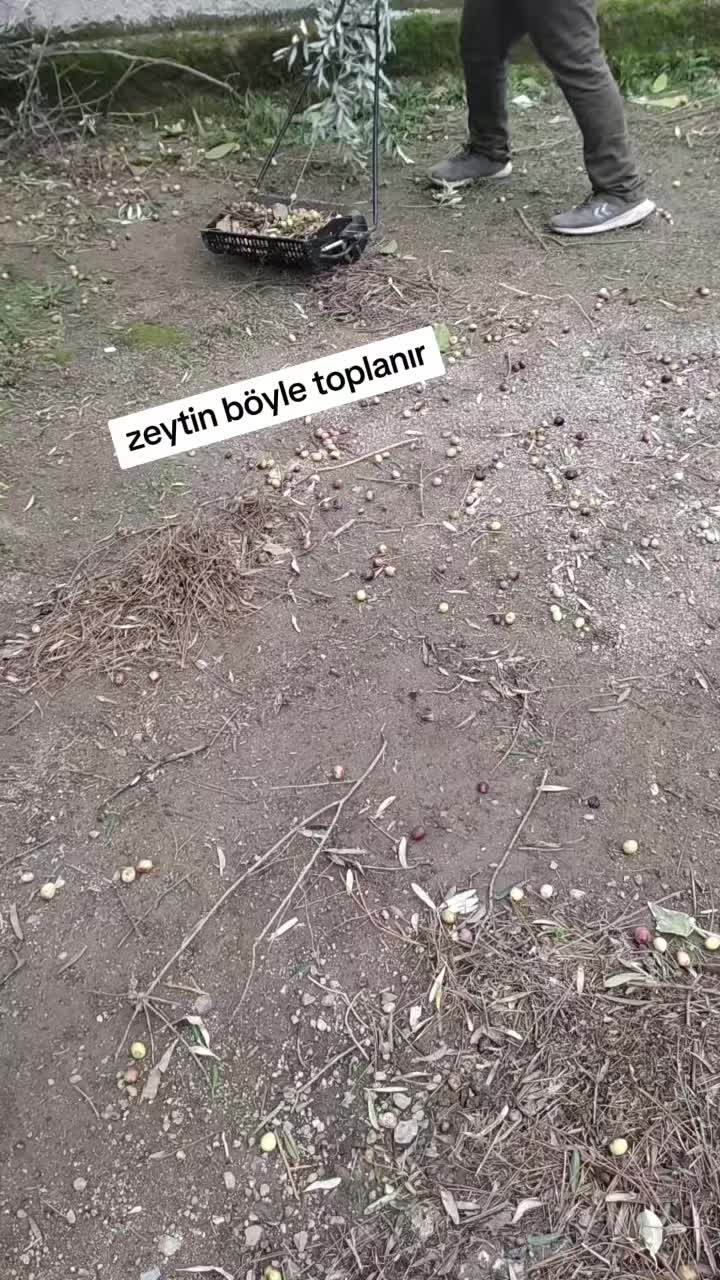 @zorkadın78