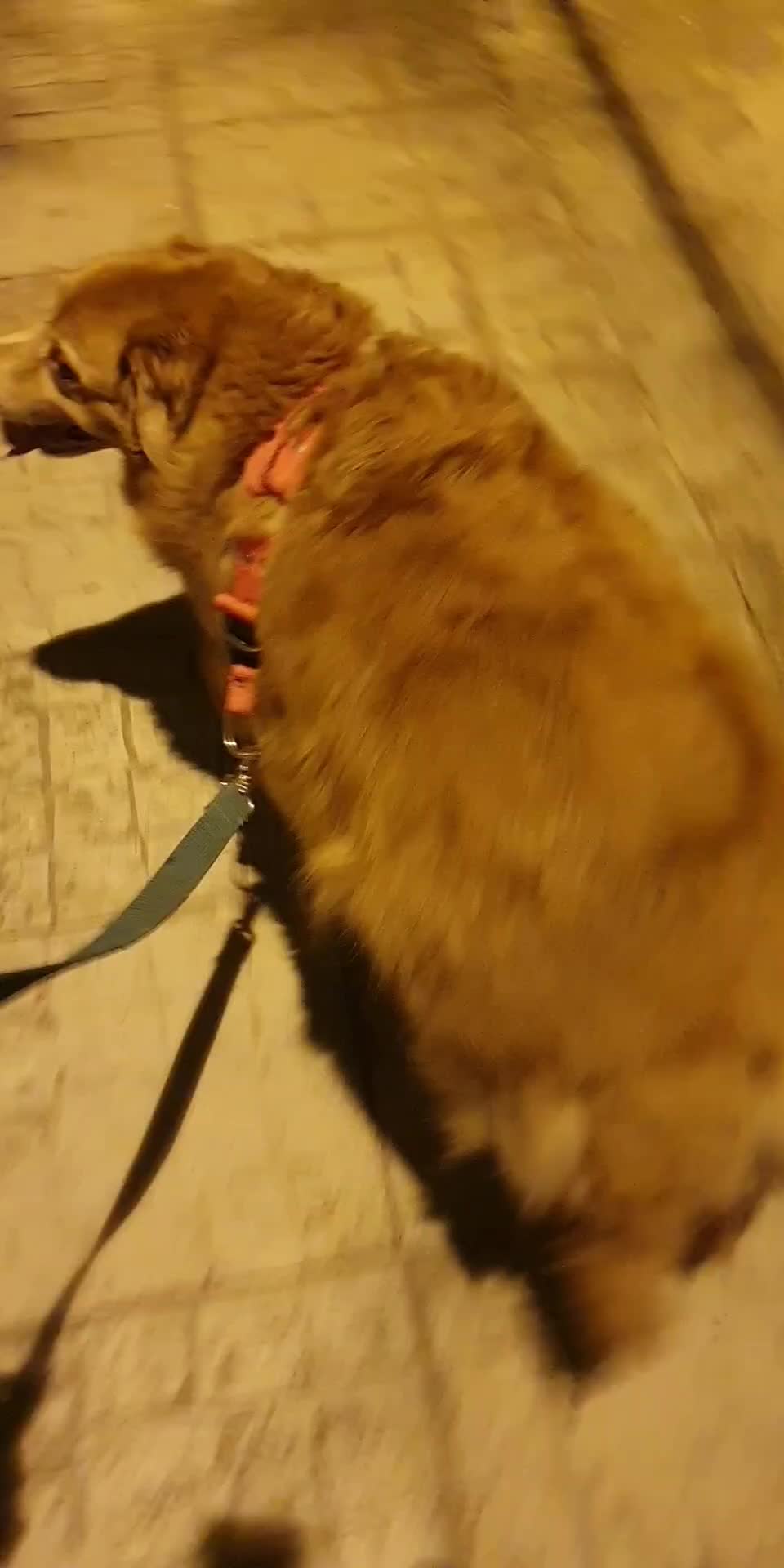 @gabrielposanzini