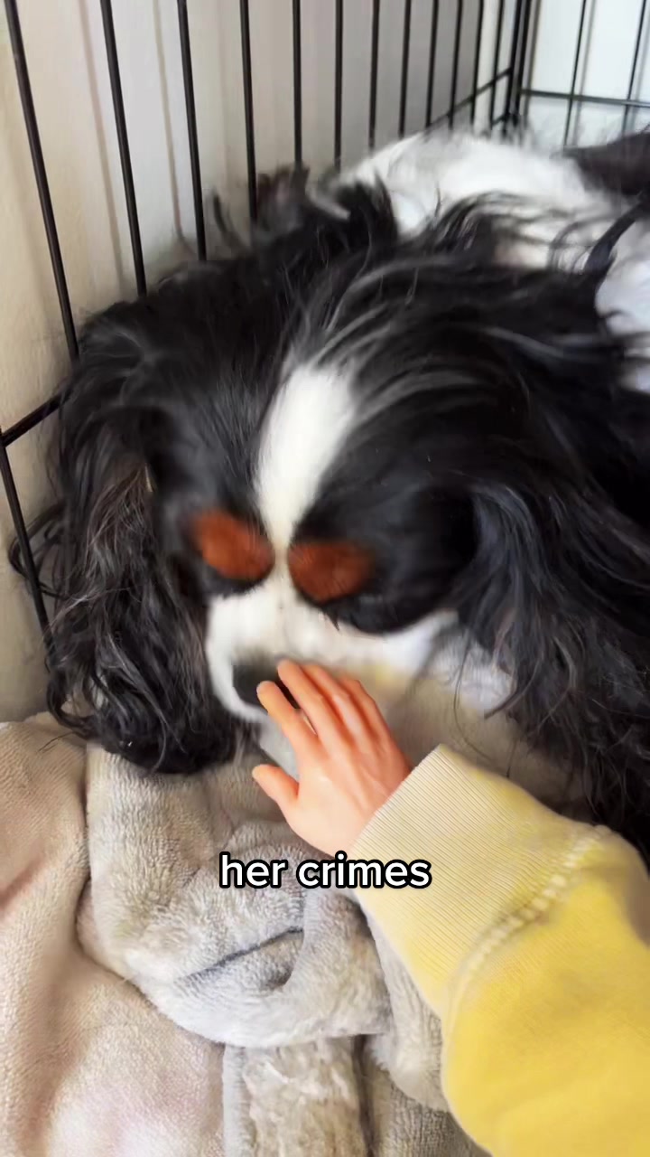 @tiny hands