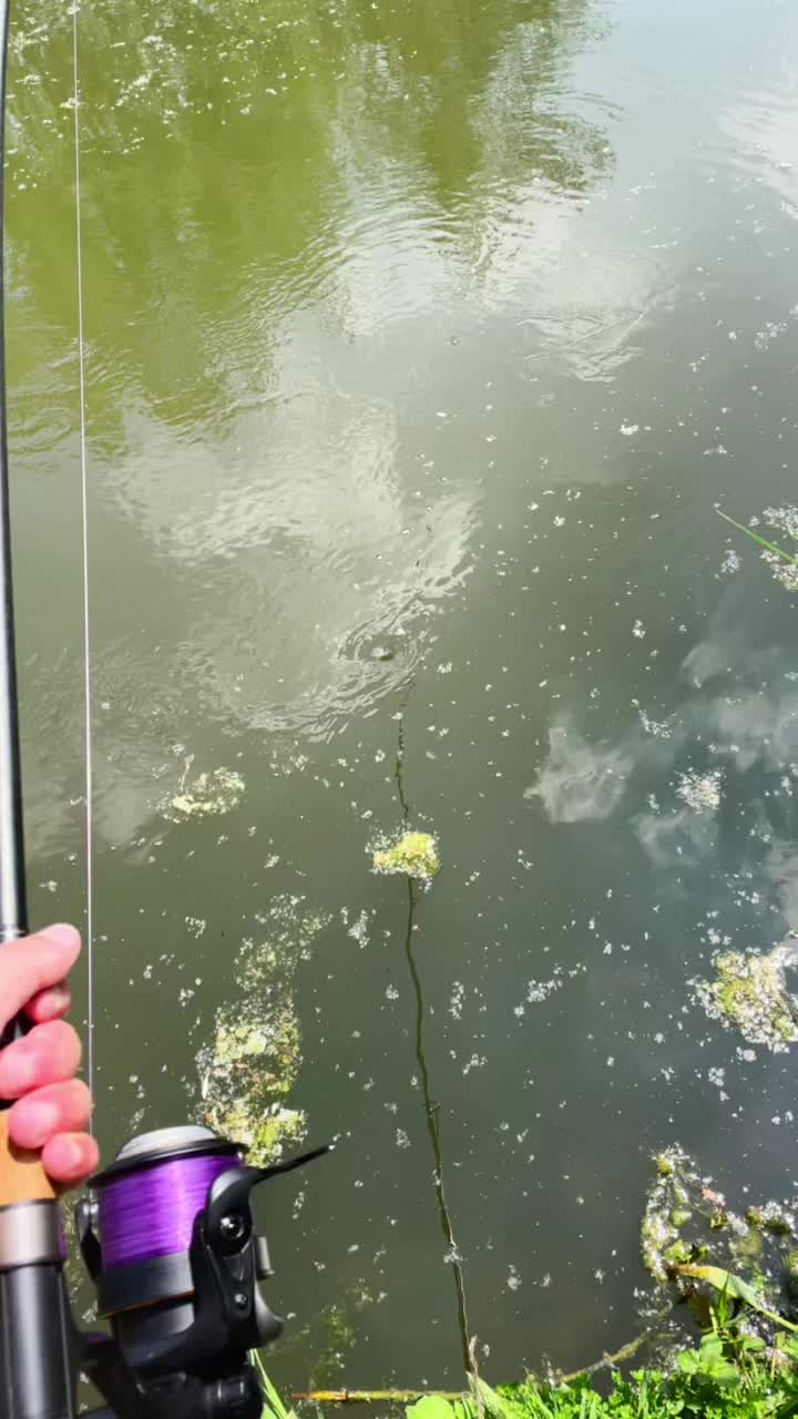 @Carpefishing80