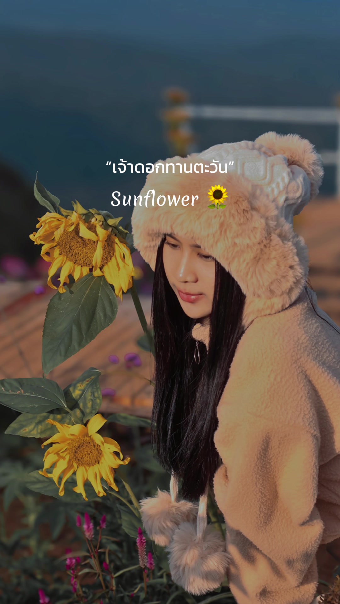 @ลูกศร.