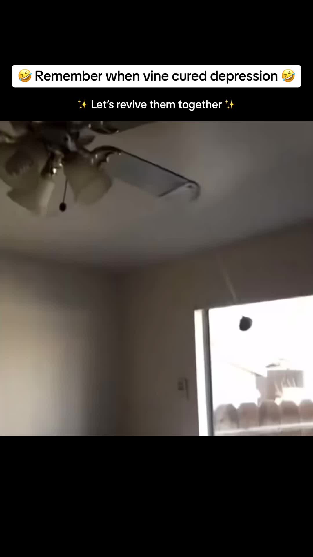 @Remember When Vine…
