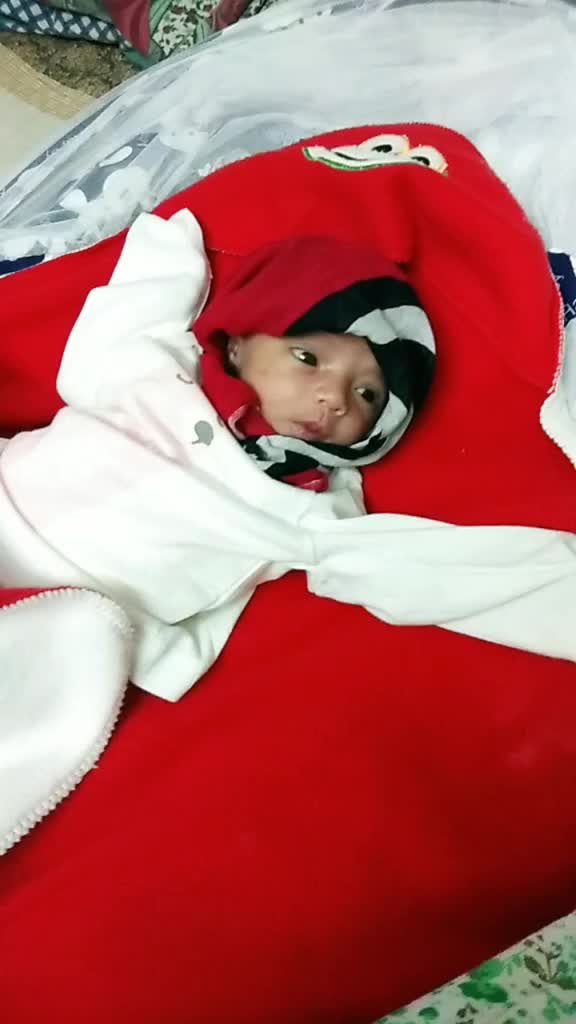 @nehashak2