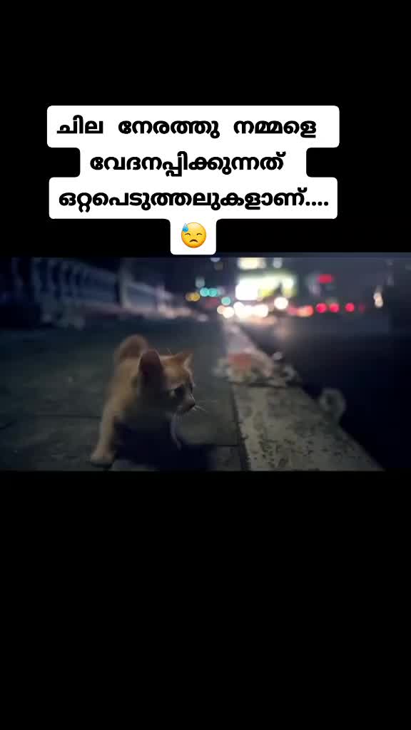 @dintolal Krishna lithin