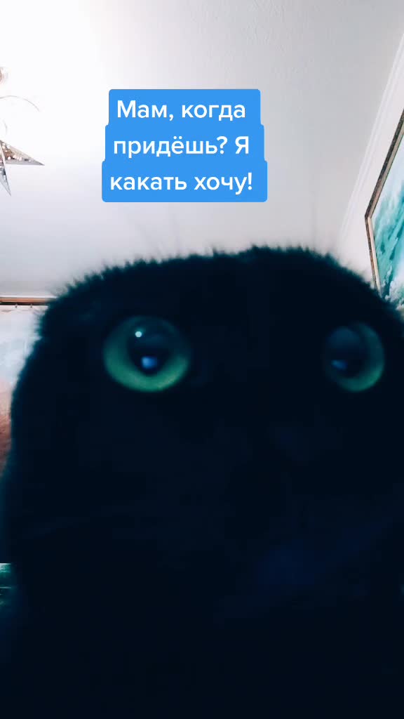 @ИрА😹Эля🐾🐾 ✔