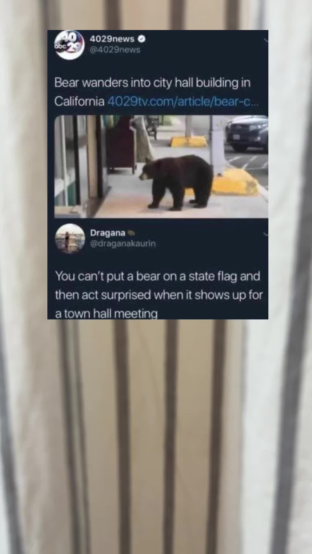 @memessfn